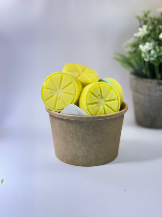 Porciones de Wax Melt